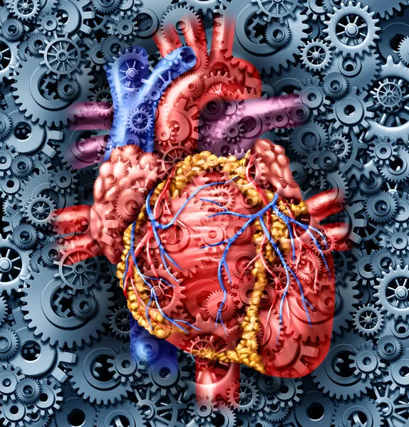 Human Heart Health — Stock Photo, Image