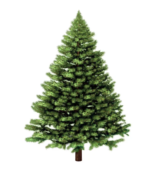 Christmas Tree — Stock Photo, Image