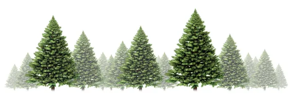 Pine Tree Winter Border — Stock Photo, Image