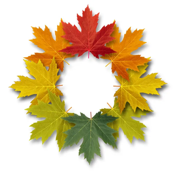 Herbst-Blätter-Rahmen — Stockfoto
