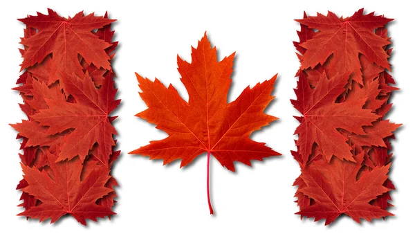 Canada blad vlag — Stockfoto