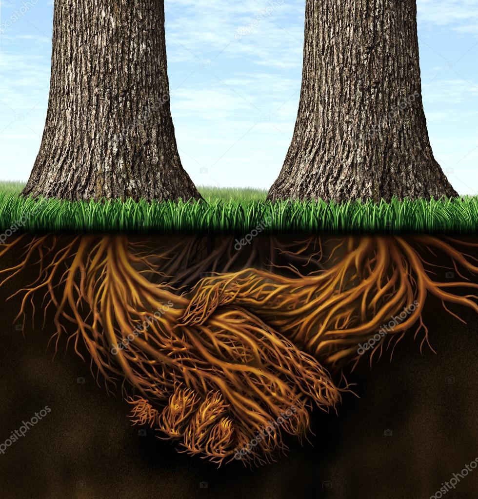 Images: strong foundation | Strong Foundation — Stock Photo