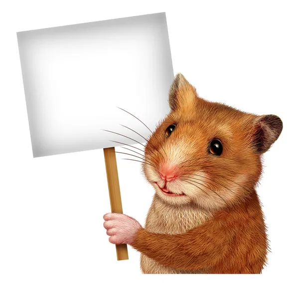 Huisdier hamster houden een leeg teken — Stockfoto