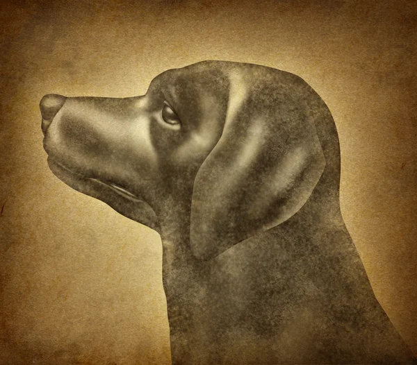 Grunge köpek — Stok fotoğraf