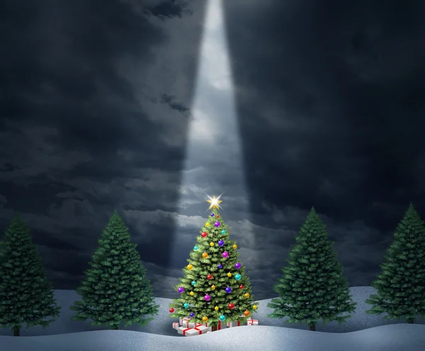 Illuminated Tree — Stock Photo, Image