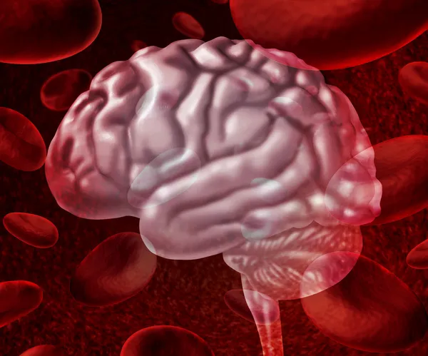 Hjärnans blod — Stockfoto