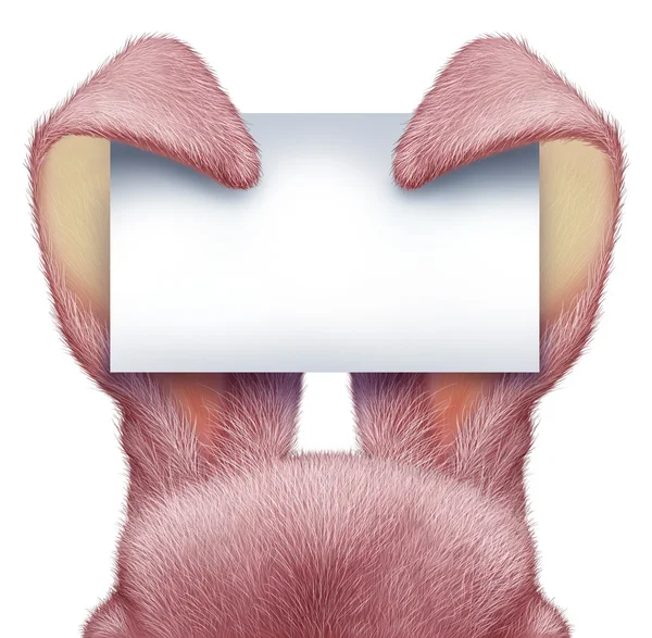 Easter Rabbit Blank Sign — Stock Photo, Image