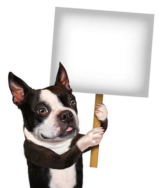 Köpek holding işareti — Stok fotoğraf