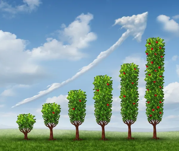 Growing Business Success — Stock Image Growing Business Success Stock Photo