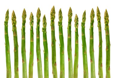 Asparagus vegetable clipart