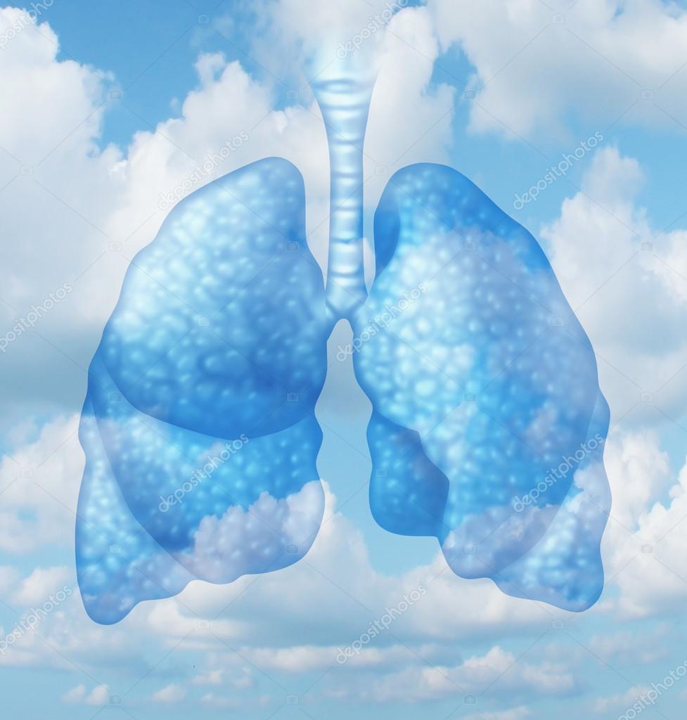 Clean air quality concept and healthy breathing in a pollution free envoironment represented by human lungs in a summer sky background as a symbol of healthful living.