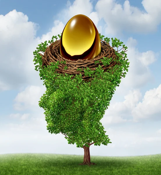 Managing Your Nest Egg — Stock Photo, Image