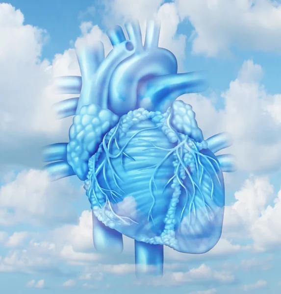 Kalp Sağlığı — Stok fotoğraf
