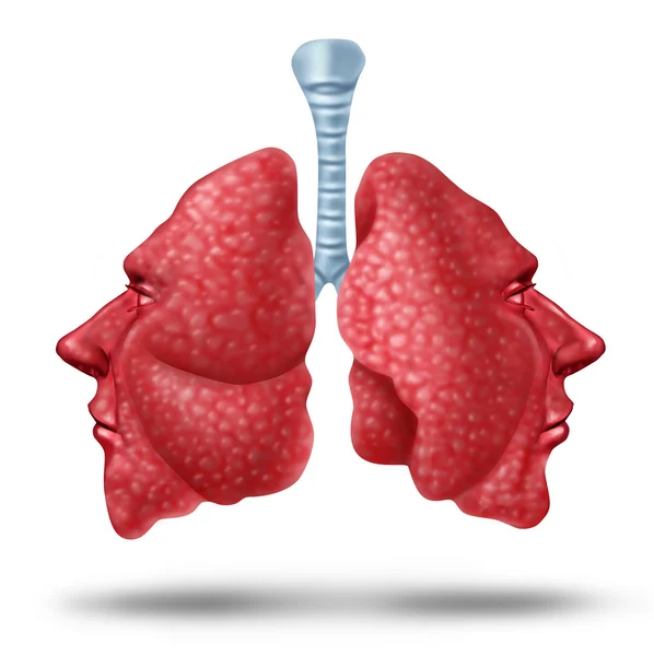 Understanding Lung Health — Stock Photo, Image