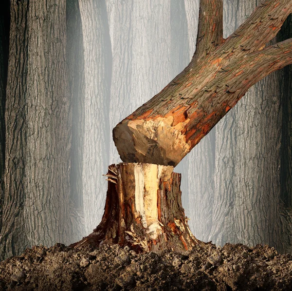 Deforestation Images Libres De Droit Photos De Deforestation Depositphotos