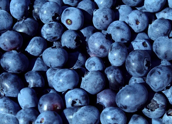 Fruits aux bleuets — Photo