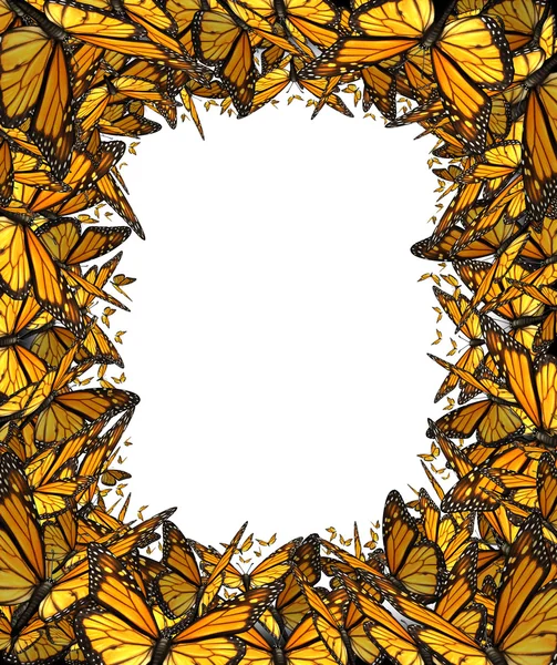 Schmetterlingsrand Rohrahmen — Stockfoto