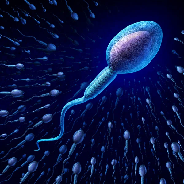 人間の精子細胞 — ストック写真