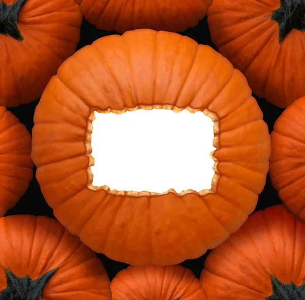 Pumpkin Blank Sign — Stock Photo, Image