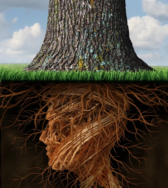 Tomar raíz —  Fotos de Stock
