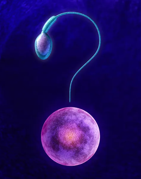 Fertility Questions — Stock Photo, Image