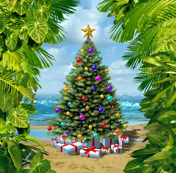 Celebración de la playa árbol de Navidad — Foto de Stock