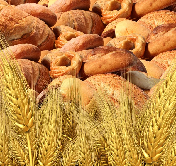 Raccolta del pane di grano — Foto Stock