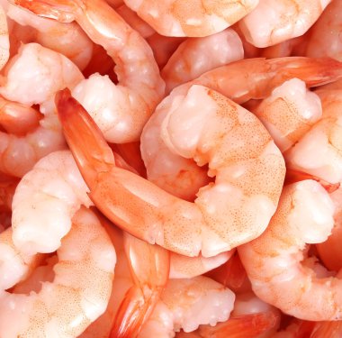 Shrimp clipart