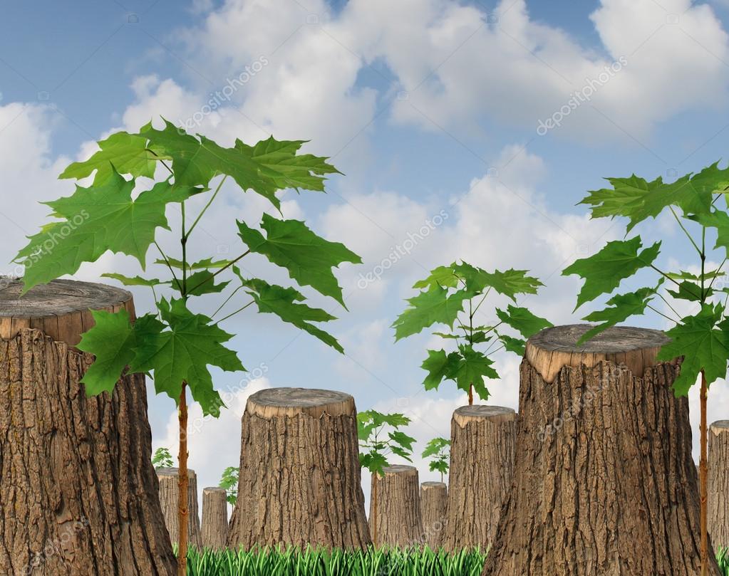 Recursos renovables fotografía de stock ©