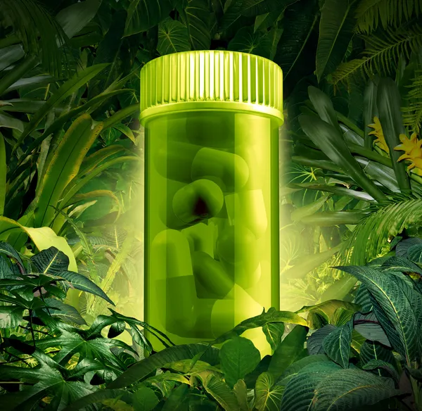 Plantas medicinais — Fotografia de Stock