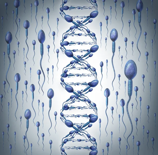 DNA masculino — Fotografia de Stock