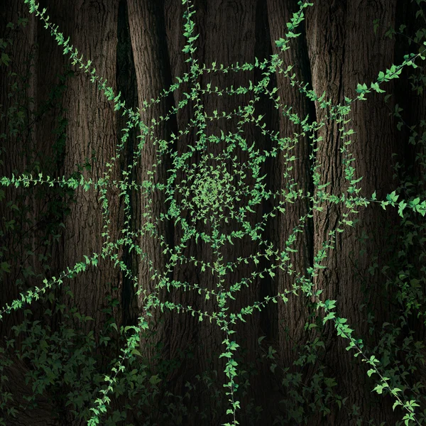 Green Web — Stock Photo, Image