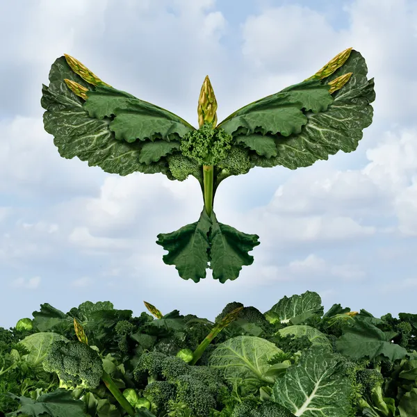 Gezondheid van voedsel vrijheid — Stockfoto