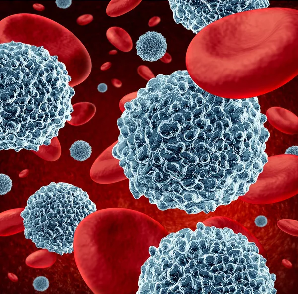 White Blood Cells — Stock Photo, Image