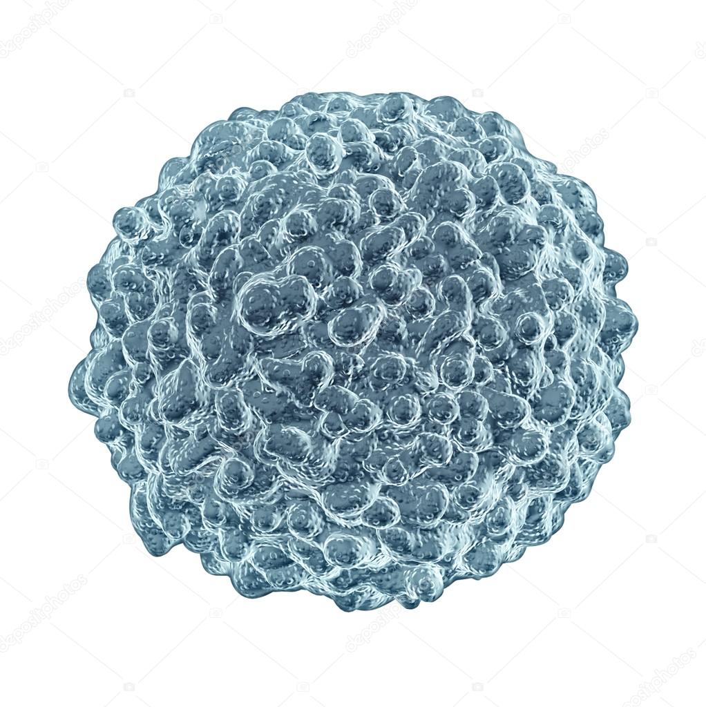 白血球写真素材 ロイヤリティフリー白血球画像 Depositphotos