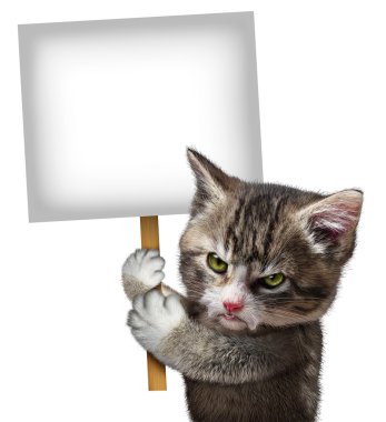 Angry Cat Holding Sign clipart