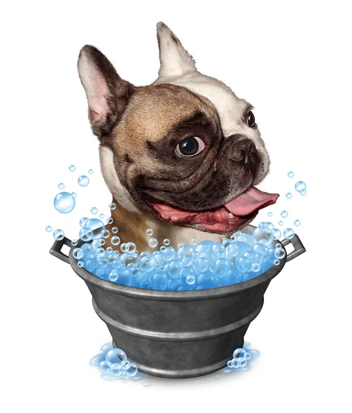 Dog Bath — Stock Photo, Image