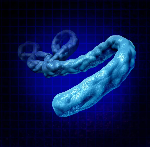 Ebola Virus — Stock Photo, Image
