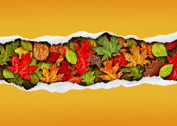 Herbst Blatt Hintergrund Mit Textbereich Kopierraum Als Verkaufsbanner Mit Baumblättern — Stockfoto