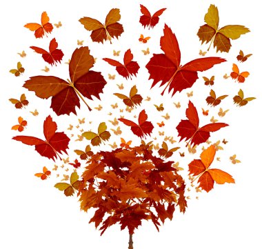 Autumn Tree Concept clipart