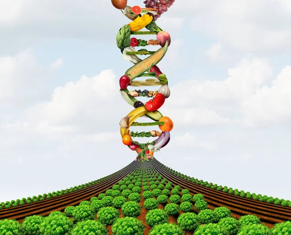 Tarım Genetiği Gdo Tarımı Genetiği Değiştirilmiş Ekinler Veya Büyüyen Gıda — Stok fotoğraf