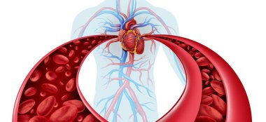 Hypertension And High Blood pressure as a medical diagram concept with a normal and abnormal hypertensive blood cell flow and human circulation in an artery as a 3D illustration isolated on white. clipart