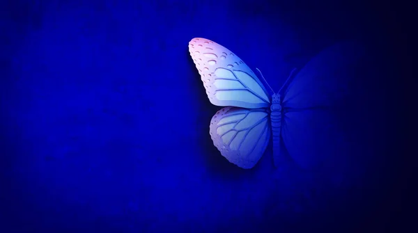 Abstract Butterfly Blue Background Symbol Transformation Spiritual Healing Rebirth Lifecycle — Stock Photo, Image