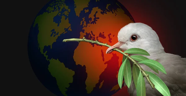 Global Peace Concept International War Tragedy White Dove Holding Olive — ストック写真