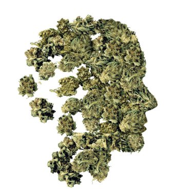 Cannabis and human health Medical psychoactive marijuana health care concept with legal medicinal cannabis as a metaphor for alternative therapy as natural herbal drug use. clipart