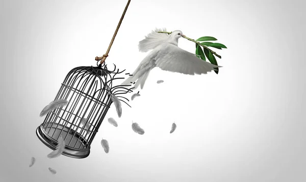 Free 2024 bird cage