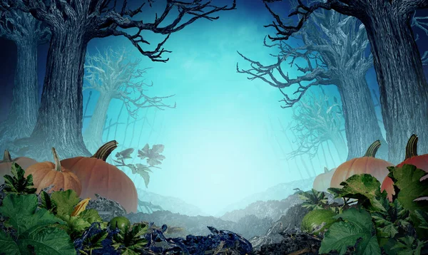 Halloween Backgrounds Creepy Autumn Night Background Pumpkin Field Scary Trees — 스톡 사진