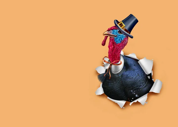 Tack Ger Kalkon Bakgrund Och Thanksgiving Höst Banner Som Höst — Stockfoto