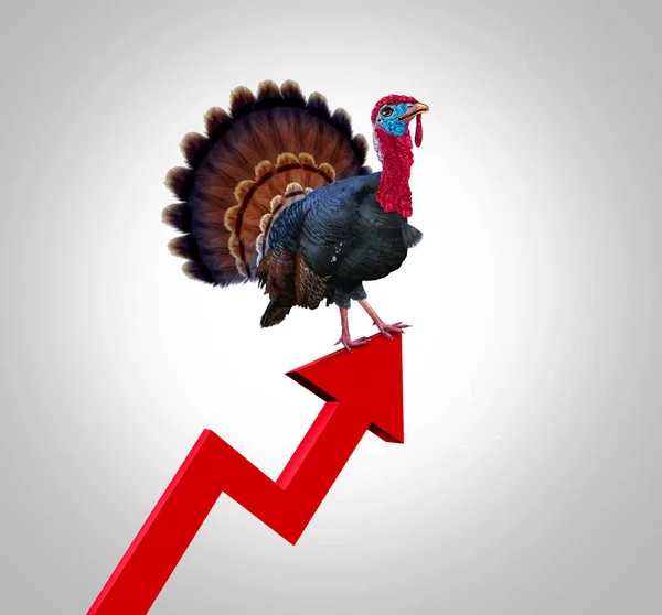 Thanksgiving Inflation Och Stigande Höst Matkostnader Eller Matvaror Priser Stigande — Stockfoto