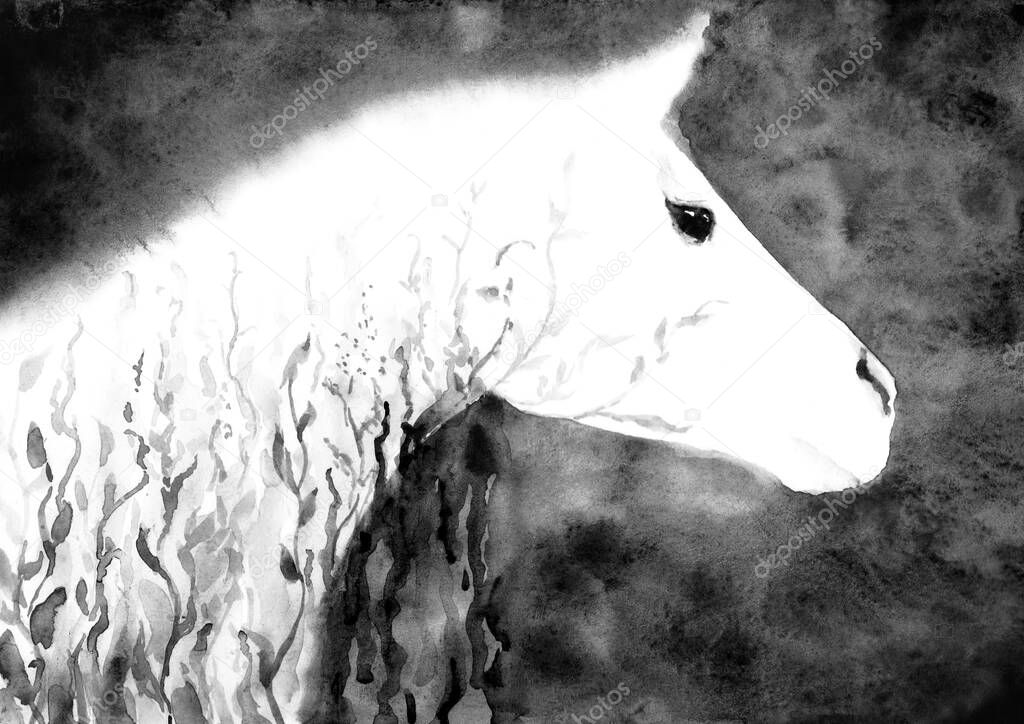 Watercolor or ink white horse snout head with green grass in mane. Beautiful artistic hand drawing illustration on dark background. Fairy dreamy magic art with Pegasus or Unicorn.